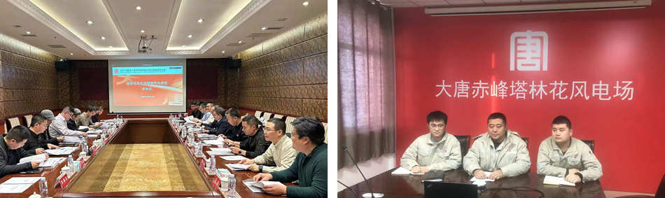 20240125 塔林花01 20240125 塔林花01